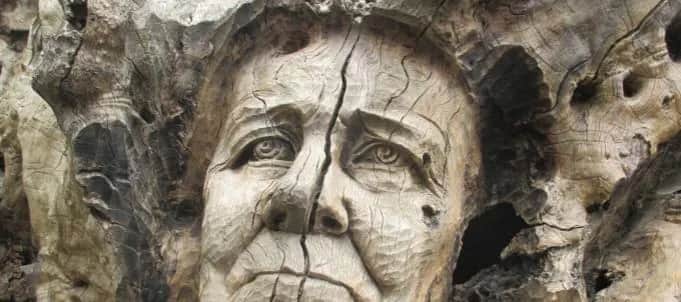 Rzeźby w drewnie: historia, techniki i gdzie je znaleźć